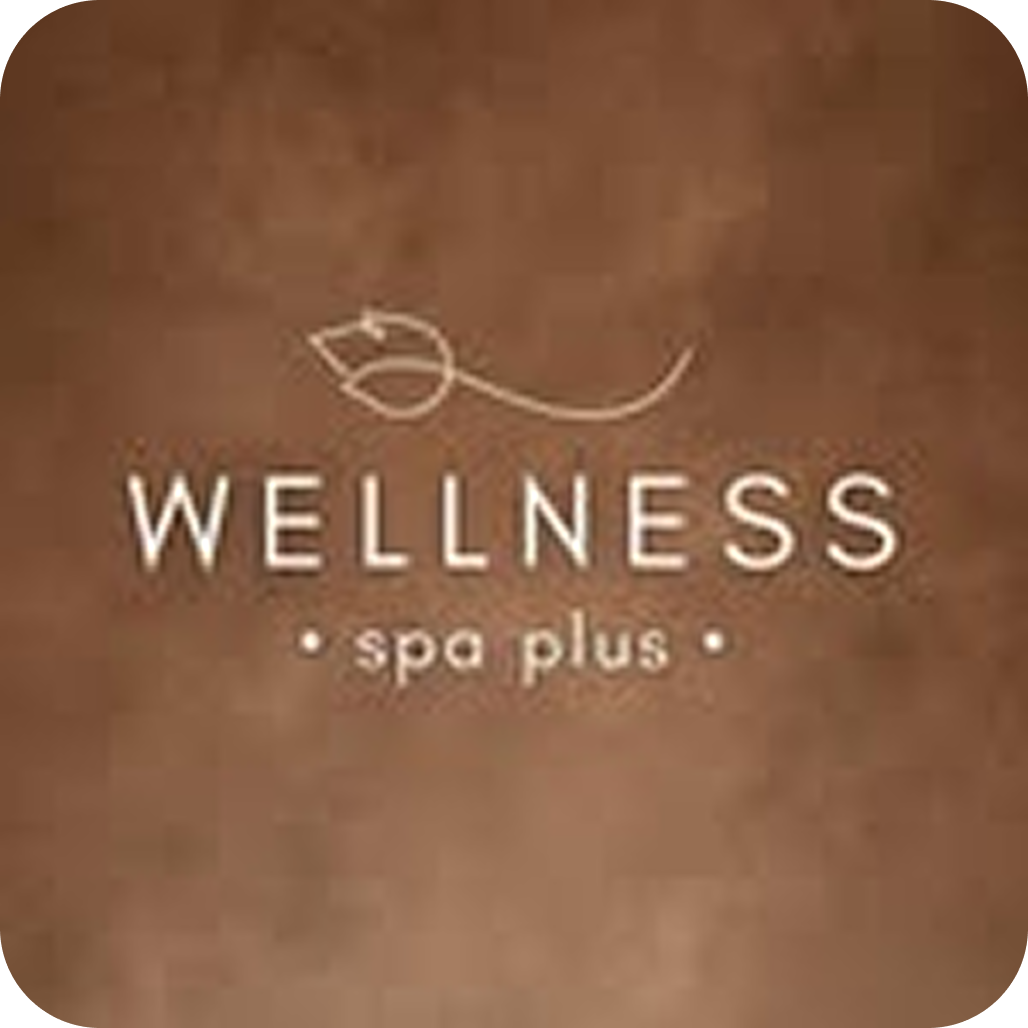 Премиальный спа-отдых с банями, сауной и бассейном от 99р в "Wellness Spa Plus"